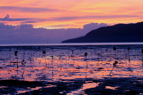 Sunrise in Cairns, Australia